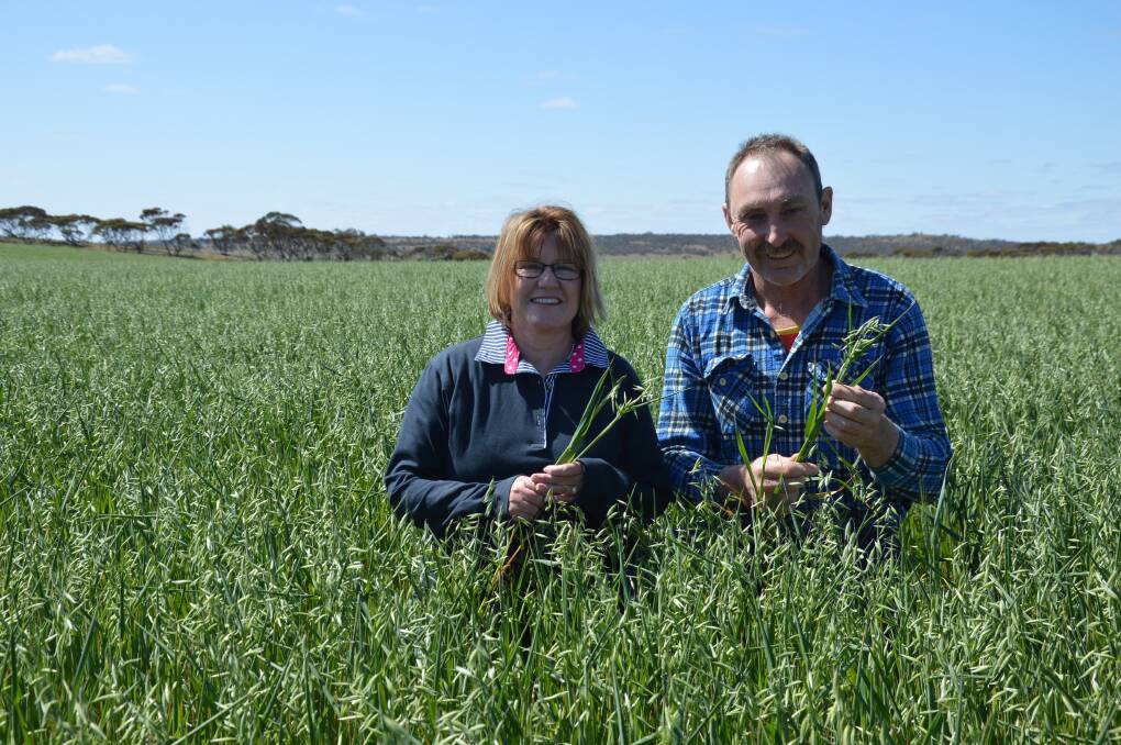 Alison and Roger Schutz have been awarded for the nutritional quality of their oaten hay.