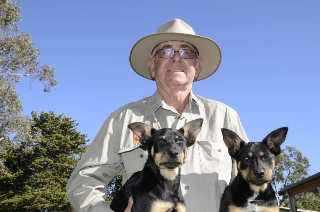 Rex Hocking, Avenue Range, believes desexing does not negatively impact a working dog's performance.