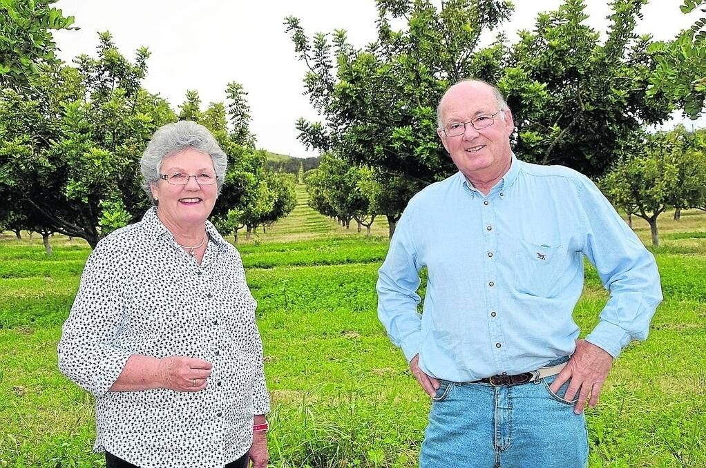 Carol and David Solomon at their Port Elliot carob orchard.