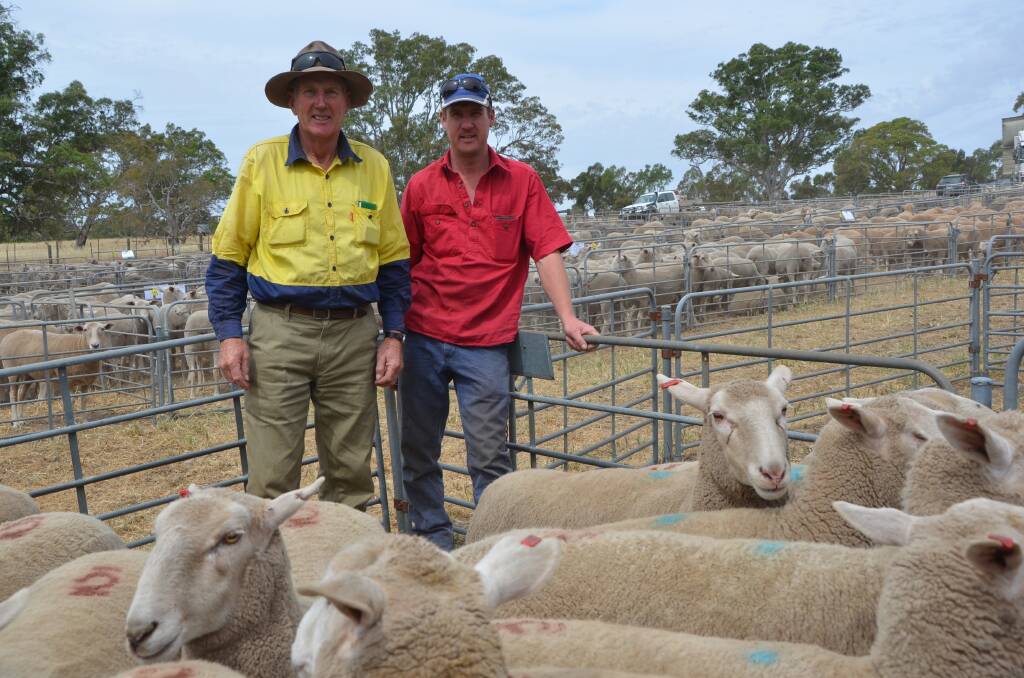 James and Kym Graetz, Keyneton, with their pen of 30 first-cross ewes, which topped the sale at $244, up from last year's top, also from the Graetz, of $220.