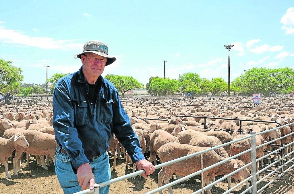 Lynn Moore, Jamestown, and son David, sold a line of 750 2011-drop and 2012-drop breeding ewes as part of a flock reduction. Mr Moore said the farm was placing a greater emphasis on cropping, which led to the decision to downsize the flock of breeding ewes. He was very happy with the top price of $163 for 2012-drops.