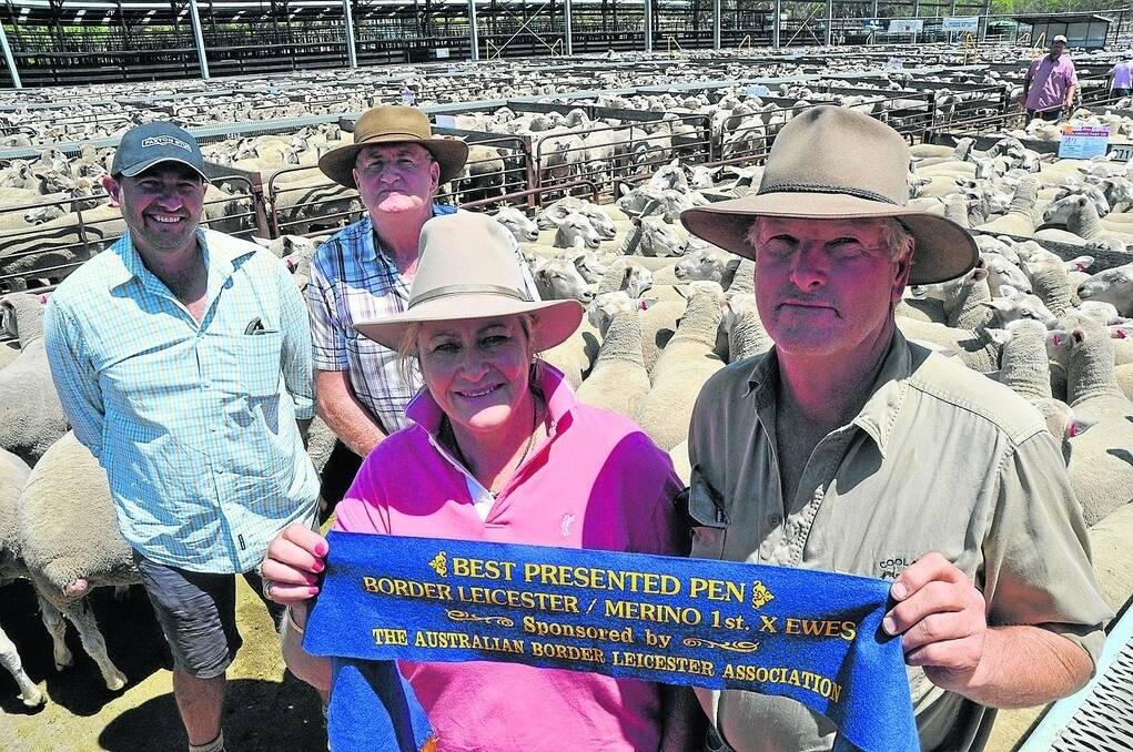 At the Naracoorte first-cross ewe sale on Thursday last week were SA Border Leicester Association publicity officer Martin Harvey, Paxton stud, Western Flat, and best presented pen judge Peter Vile, Bordertown, congratulating Judy and Trevor James, Coolawang Pastoral Company, Mundulla, on winning the blue ribbon for best presented pen. They later topped the sale at $286.