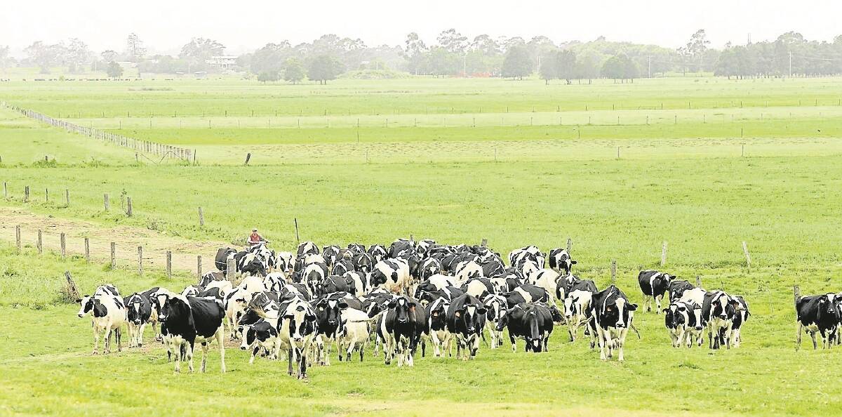 Farmers and agronomists are working together through DairySA nutrient projects to soil-sample paddocks and produce Fert$mart Plans, which assess soil fertility levels and provide recommendations on more profitable use of fertiliser.