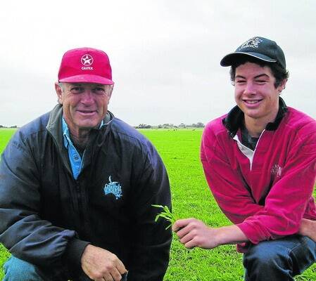 Ken and Ross Bascomb are trialling the Italian ryegrass variety Tetrone this season to assess its suitability to their conditions for their Dorper enterprise.