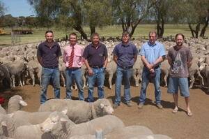 Warrawee Park’s Simon Allen sold these ewes for $226, he is pictured with Elders auctioneer Steve Doecke, Warrawee Park’s Michael Allen, buyer Andrew Skeer (purchased 100 of the ewes), Denis Manhood, Millicent, and another buyer Pat Lawlor (purchased 400 of the ewes).