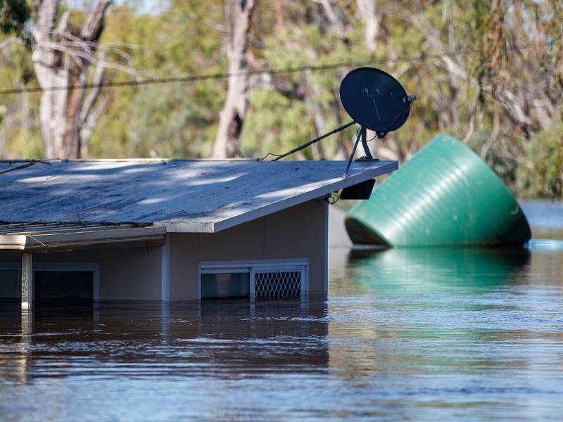 An estimated 4000 properties were inundated along the Murray River over summer. (Matt Turner/AAP PHOTOS)