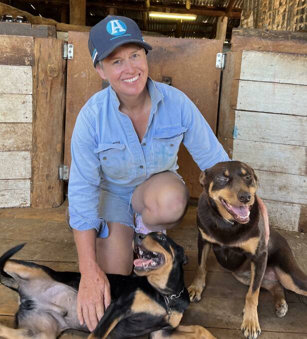 DEDICATED: Jodie Green, who runs Aloeburn Poll Merino stud, Boree Creek, with her husband Andrew and son Tom, pictured with working buddies Buster and Ruby. 