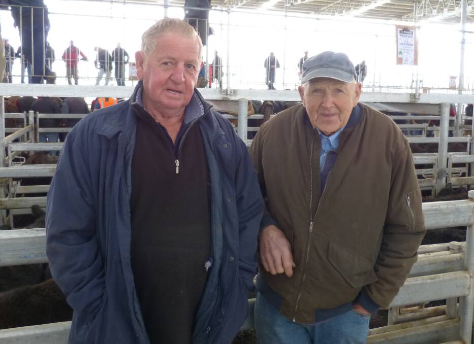 Ken Atkins and Bill McLaren, both of Port Fairy, were checking out the yarding at Mortlake last Thursday, prior to the sale. Port Fairy has had good rain this winter.