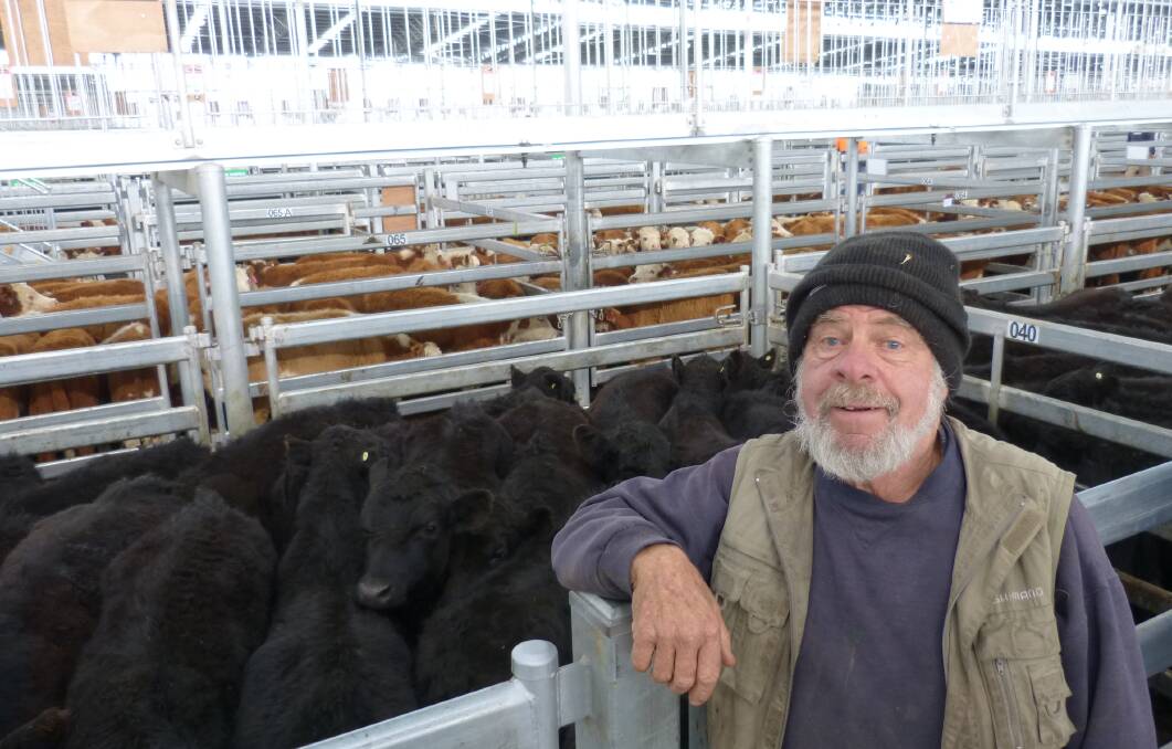 Tim Netherway was one of the local producers offering cattle at Mortlake, and was very happy with his prices with his steers selling to $840.