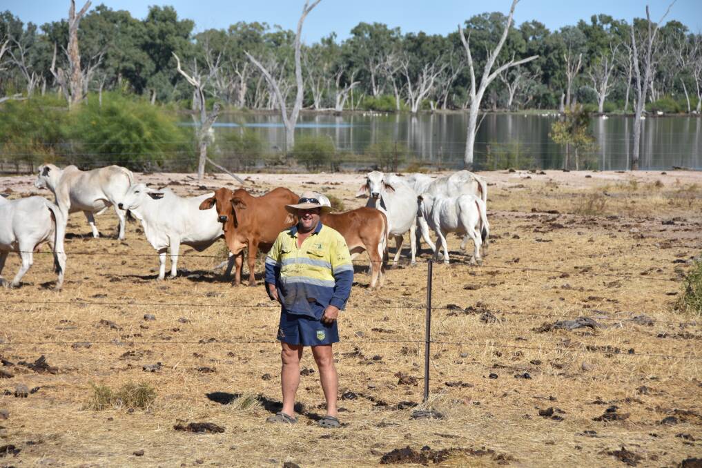 Fifth generation grazier Michael Knuth with his Brahmans at Victoria Downs.