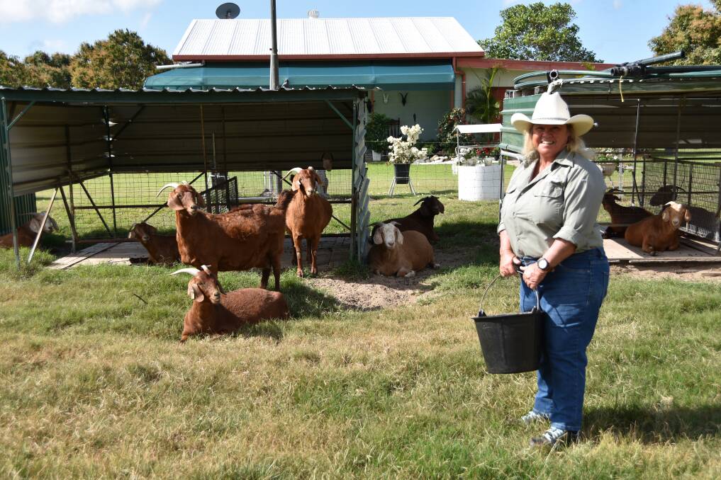 The feed isn't cheap, but looking after her goats is a labor of love for Leeann Brace.