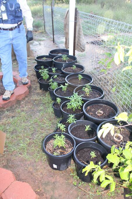 Cannabis plants were also found on the property.