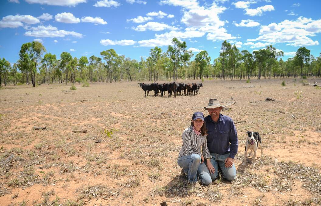 Brandy-Lee and Mick Shannon, of Carmichael Station, with their mob of F1 Wagyu.