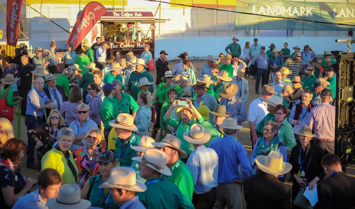 The sea of green at Beef. Photo: Kelly Butterworth.