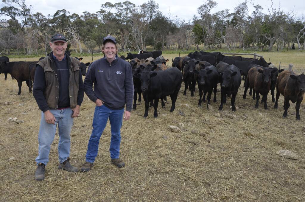 Steve Smith, Lakala, Lucindale, and Thomas DeGaris & Clarkson agent Hayden Lambert with March-drop steers and heifers.