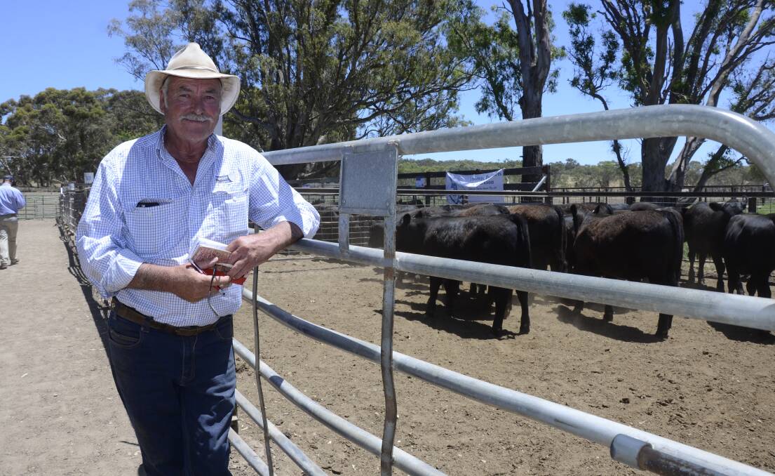 EXPORT SUPPORT: Landmark International buyer Frank Glenane, Warrnambool, Vic, was an active bidder at the Naracoorte steer sale on Thursday last week.