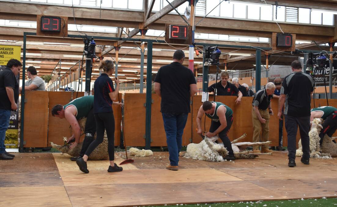 Shearers in action.
