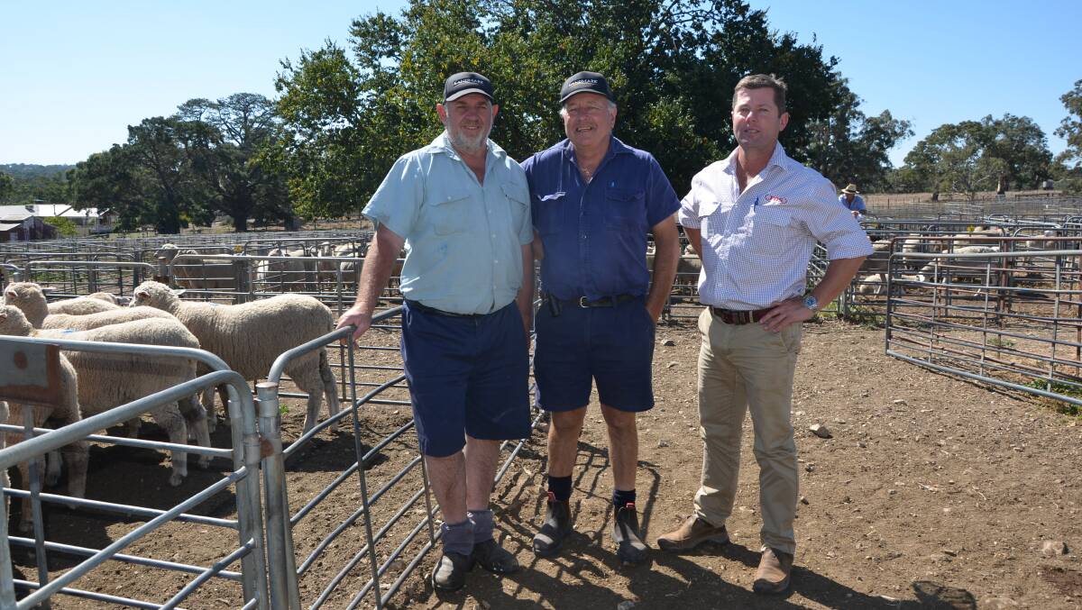Neil Kroehn, Belmont, Springton, Colin Wilson, Belvidere, who sold crossbred lambs at $174, and JBS Bordertown livestock buyer Jody Darcy.