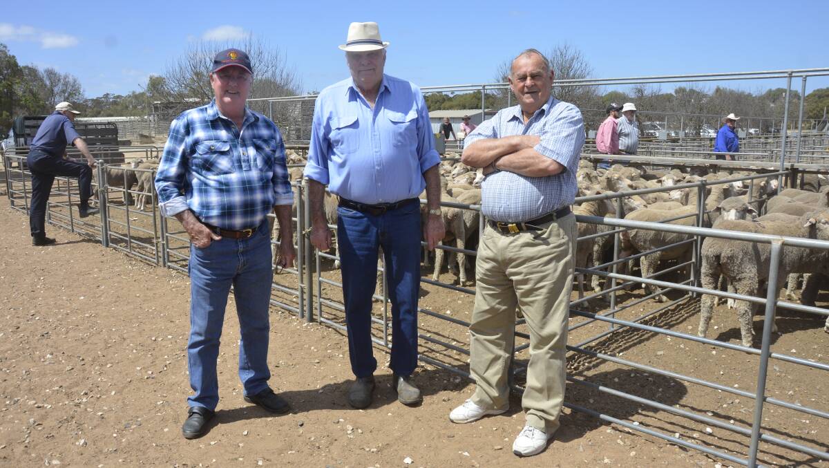 CATCH-UP: Hanging out at the Murray Bridge saleyards on Monday were Don Gogel, Karoonda, David Smyth, Murray Bridge, and Brian Smith, Bowhill.