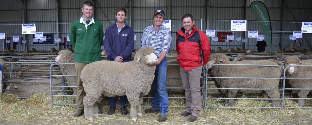 IMPRESSIVE SCALE: The $8000 top price North Ashrose ram with Landmark Jamestown livestock agent Shannon Jaeschke, Mutooroo's Eddie Morgan, North Ashrose's Angus Ashby and Elders Jamestown territory sales manager Scott Fleetwood. There was full clearance of 160 rams for the second consecutive year.