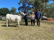 Duane Wilson, Balaklava, shows a Redwood Range heifer he had clipped while judge Vaughn Campagnolo and the sponsor awards the Supreme Champion Beef Exhibit at the Mount Barker District Show