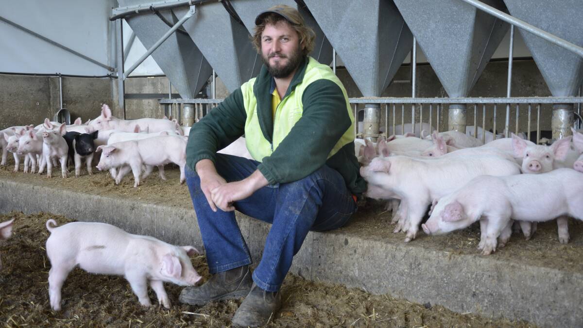 Keyneton farmer Shaun Blenkiron was hopeful pork prices would start improving towards the end of the year, especially as producers had missed out on good returns for the past two Christmases.