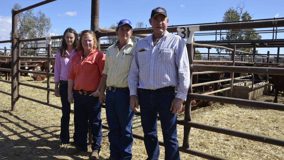 Yambah Station, Alice Springs, yarded cattle at the Roe Creek sale for the first time in 12 years. From the station are Laura Debnam, her sister-in-law Kirsty Gorey, her brother Bodie Gorey and their dad Aaron Gorey.