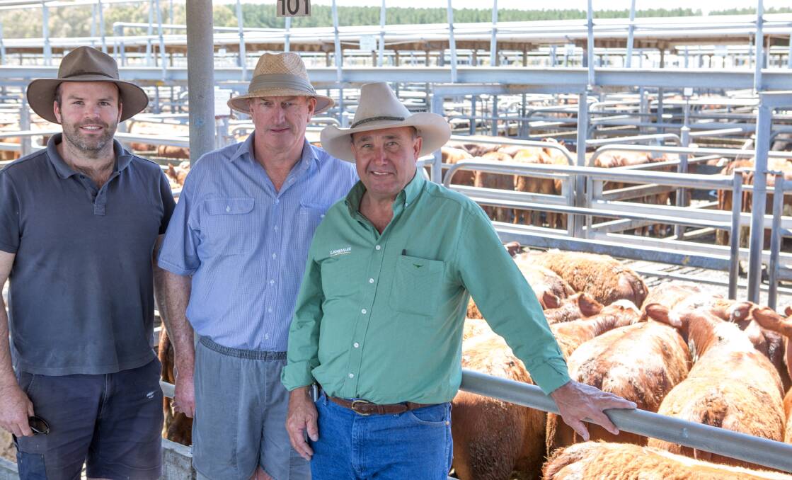KEITH LADS: John and Don Densley, Carston, Keith, and Landmark Keith's Noel Evans, sold 66 Red Angus/Hereford steers to $4.06/kg.