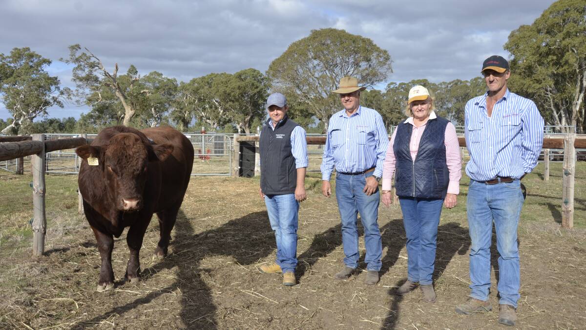 GUEST VENDOR: Imperial Partners Livestock Consultancy's Josh Wiltshire, with Carlton stud's John and Lyn Nitschke and Stuart Blacker.
