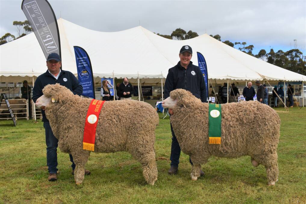 State champion ram Mulloorie 792 held by Mulloorie stud principal Paul Meyer and state champion reserve 1453 being held by Darcy Meyer. Picture by Kiara Stacey