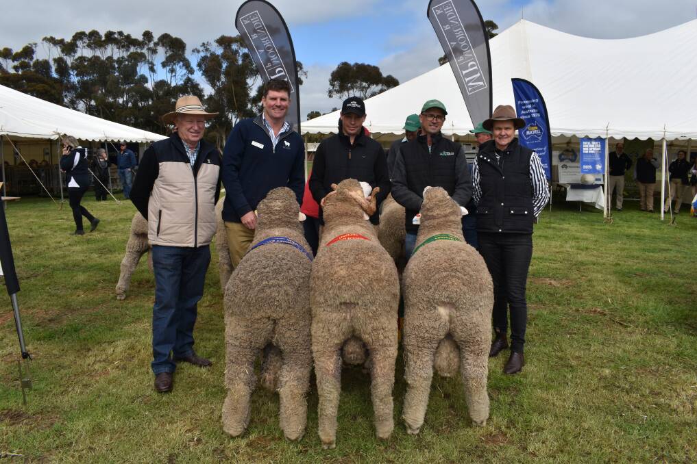 Judges Tamaleuca Poll's Kevin Crook and Danni Wilson (right), Ouyen, Vic, with the top three hogget rams from Carcuma North held by Sydney Lawrie, Tumby Bay, Collinsville held by Tim Dalla, and Greenfields Poll Merinos held by James Sullivan, Booborowie. Picture by Kiara Stacey