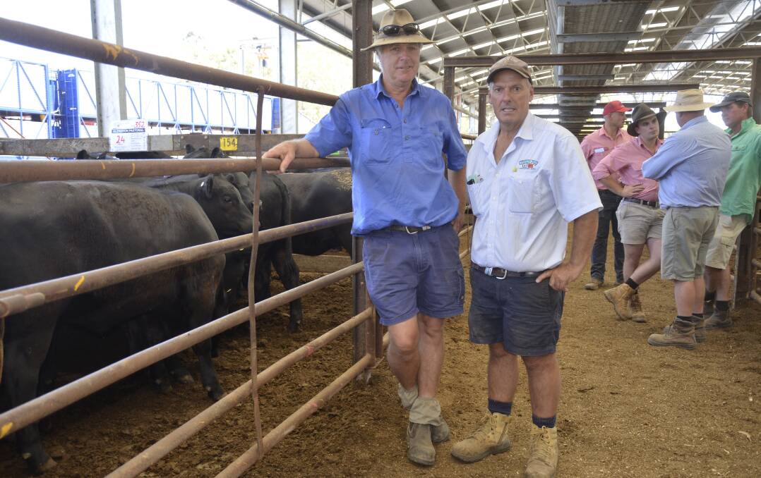 TOP RESULT: Anthony Johnson, Glendoon Pastoral Co, Binnum, who sold heifers for $1100 or $3.12/kg at Naracoorte, with PPHS's Richard Harvie.