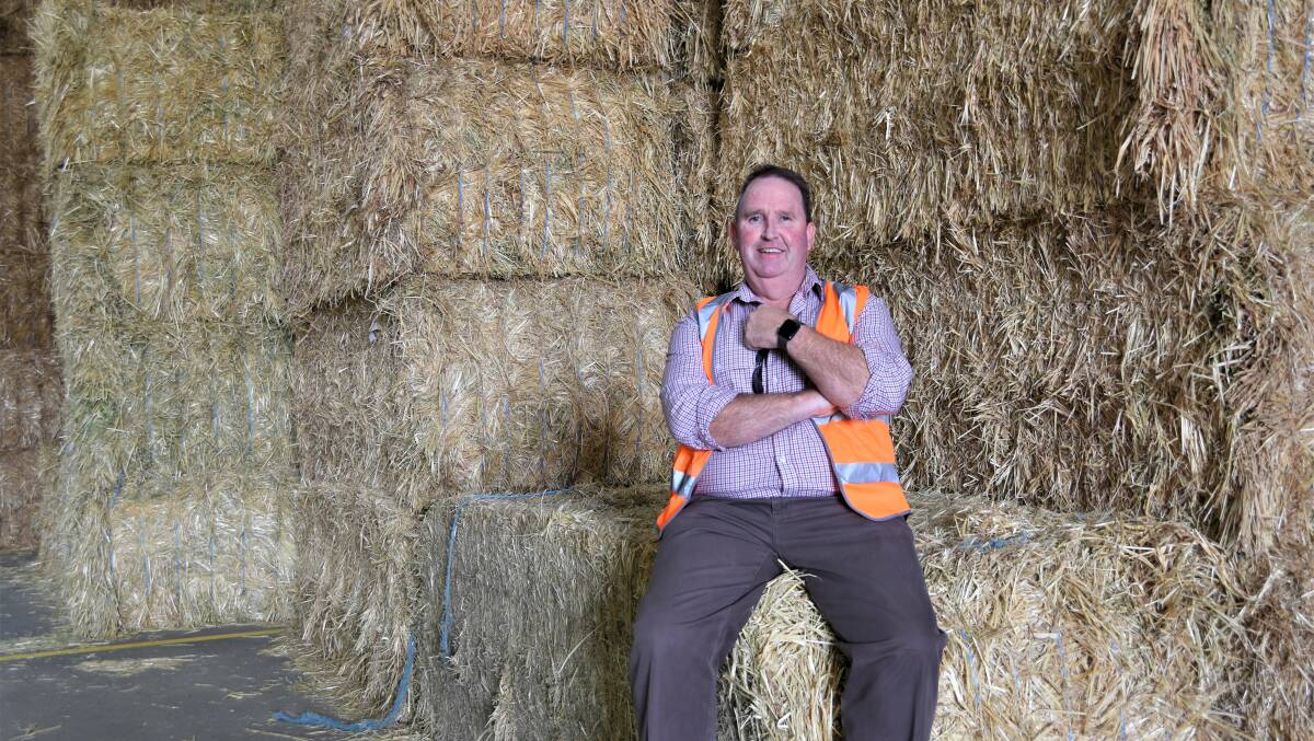 BIG CHANGE: Rob Lawson in the rebuilt shed, which has been expanded from 110 metres long to 195m.