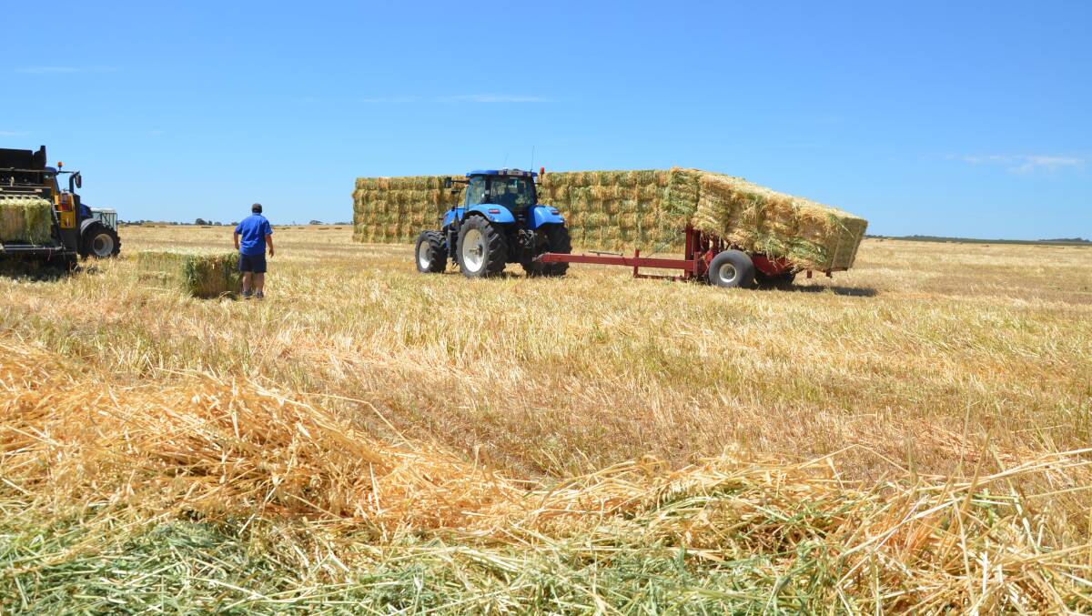 The Rural Industries Research and Development Corporation board has approved the Australian fodder industry’s Australian export fodder five year plan. 