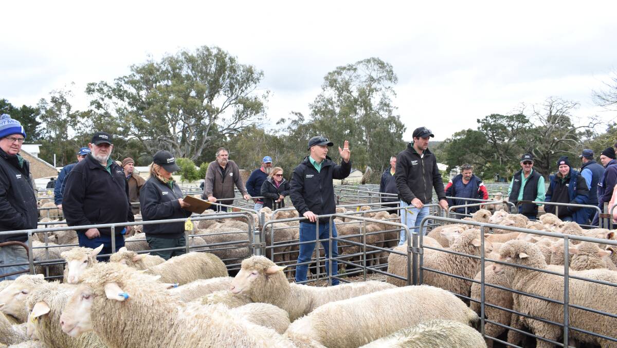 Nutrien Fawcett Livestock's selling team auctioned the sheep offering. 