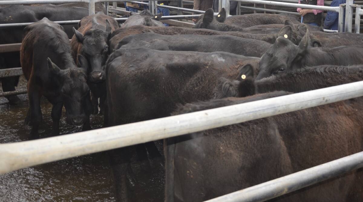 Tas buyers have been helping underpin southern livestock prices.