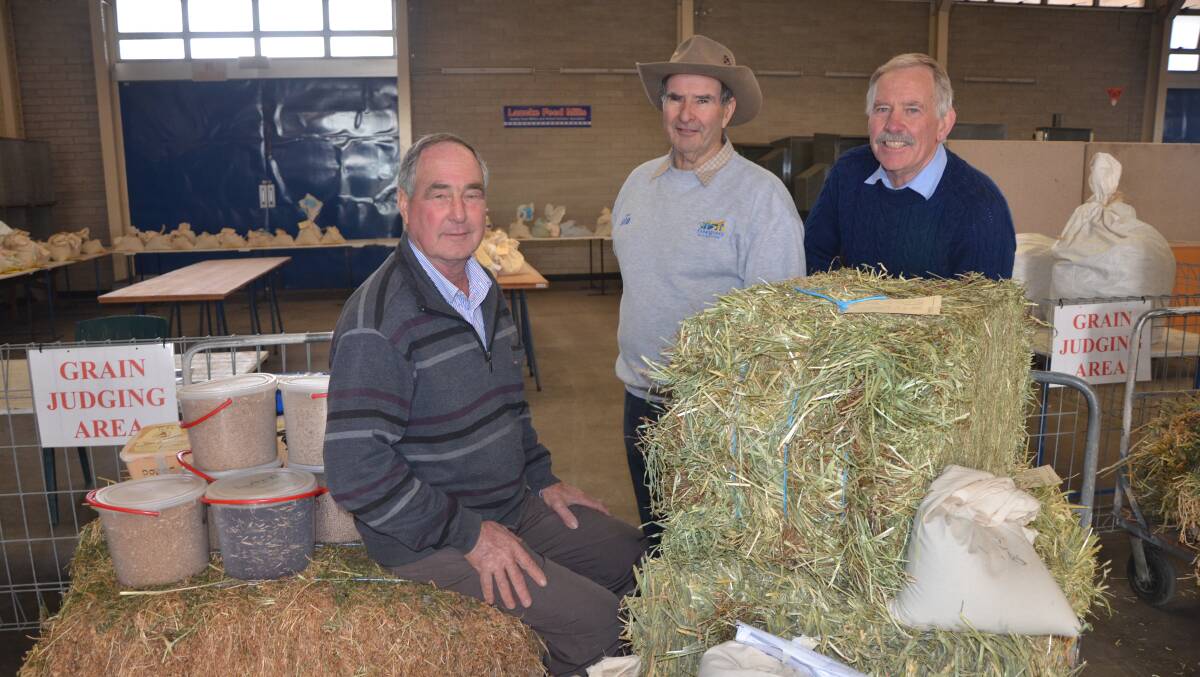 GEARING UP: Preparing grain and fodder entries for judging at the Adelaide Showground this week were Bill Rowett, Ian Sanders and Peter Smith.