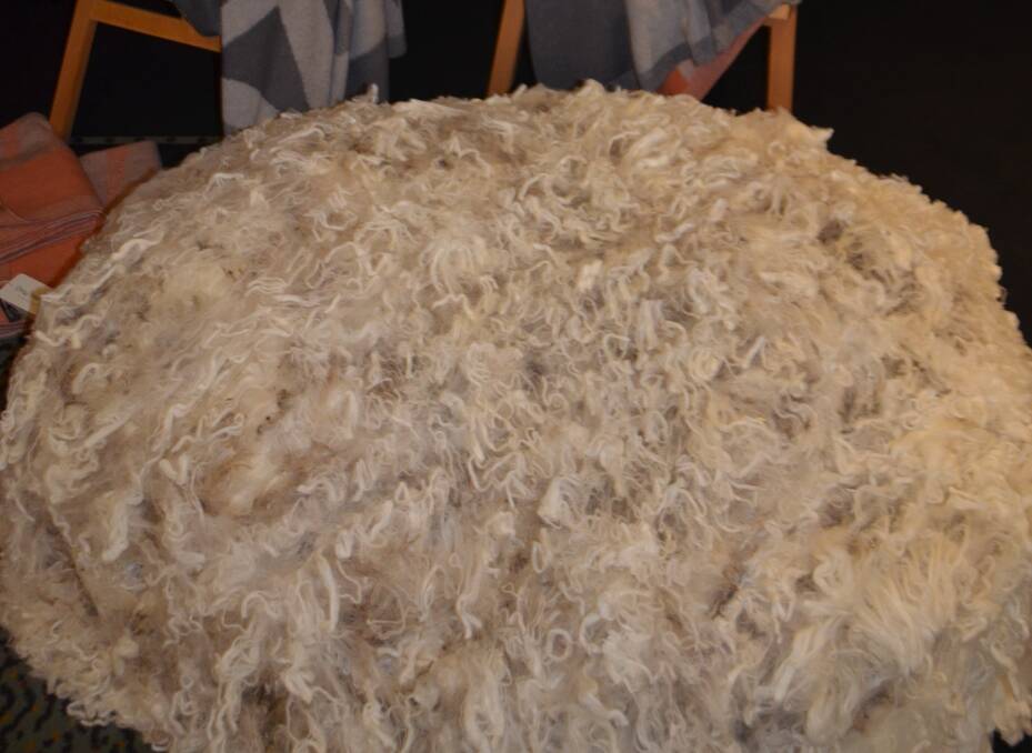 Entries are open for this year's Port Augusta Wool Show.