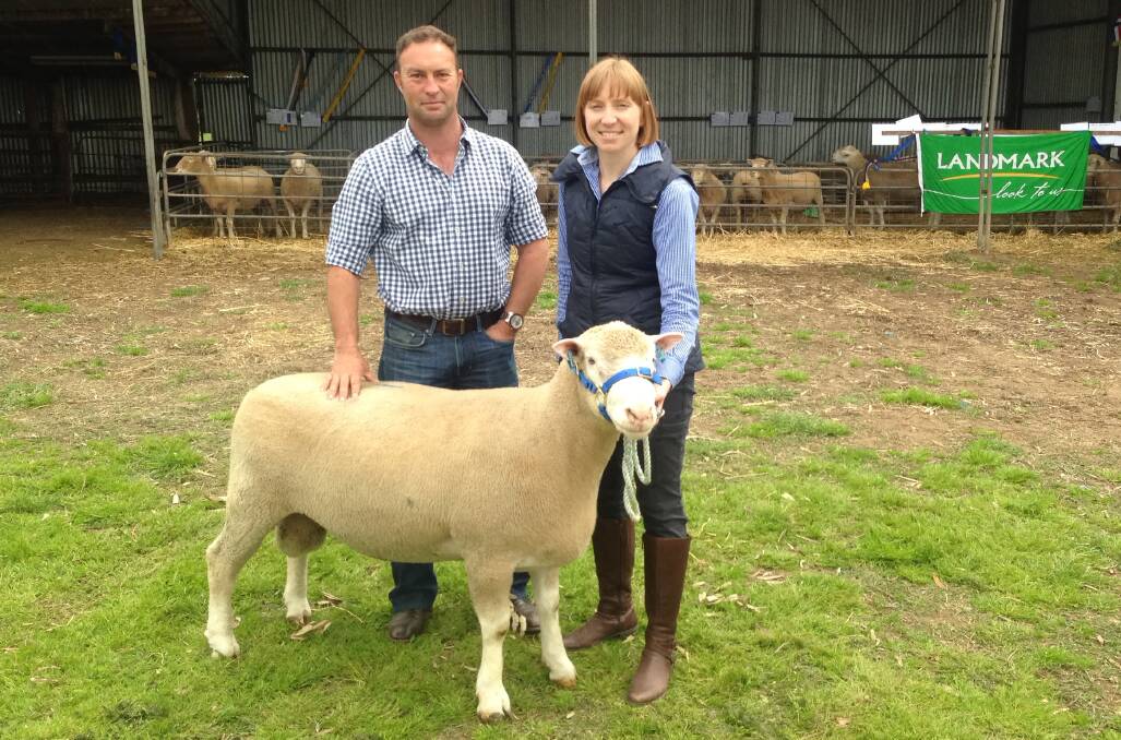 INTERSTATE INTEREST: First-time client Richard Maas, Gilmour Station, Lake Bathurst, NSW, with the $5250 top price Poll Dorset ram and Newbold's Kate McLachlan.