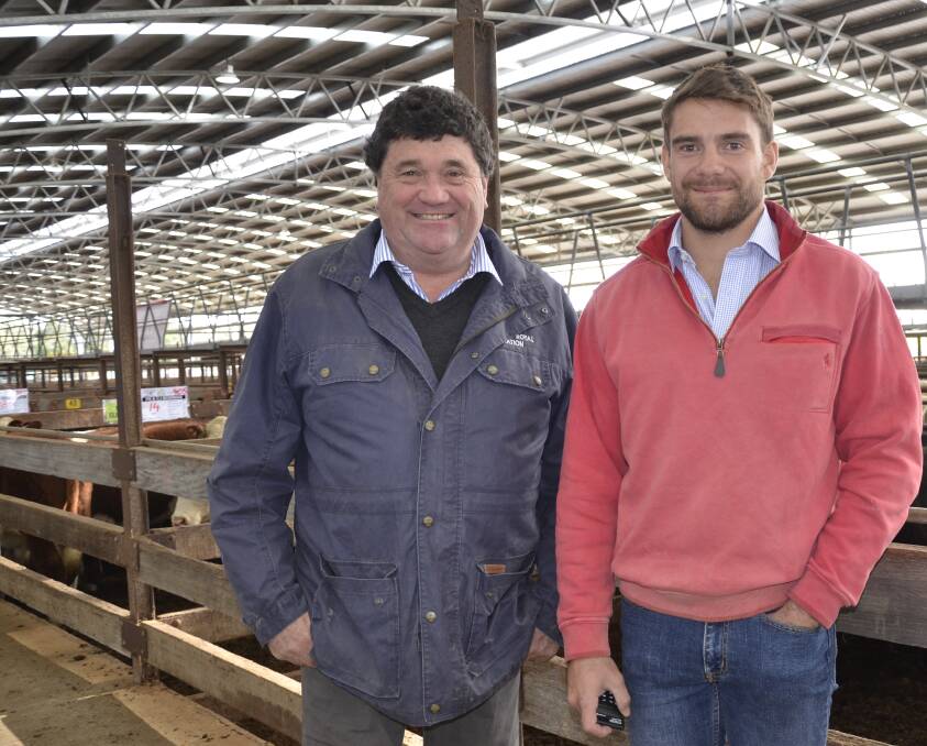 Princess Royal's Simon and Jack Rowe bought a number of pens at Naracoorte, including the first offered, 14 Angus steers from Fisher Clover Ridge Pastoral, Marcollat, for $3.60/kg.