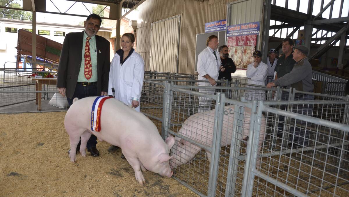 GREAT EXHIBIT: Judge John Singh, Byron Bay, NSW, with Amy Blenkiron, Gumshire, Keyneton, and the stud's best of breed Large White boar. Gumshire was also named most successful exhibitor in the judging.