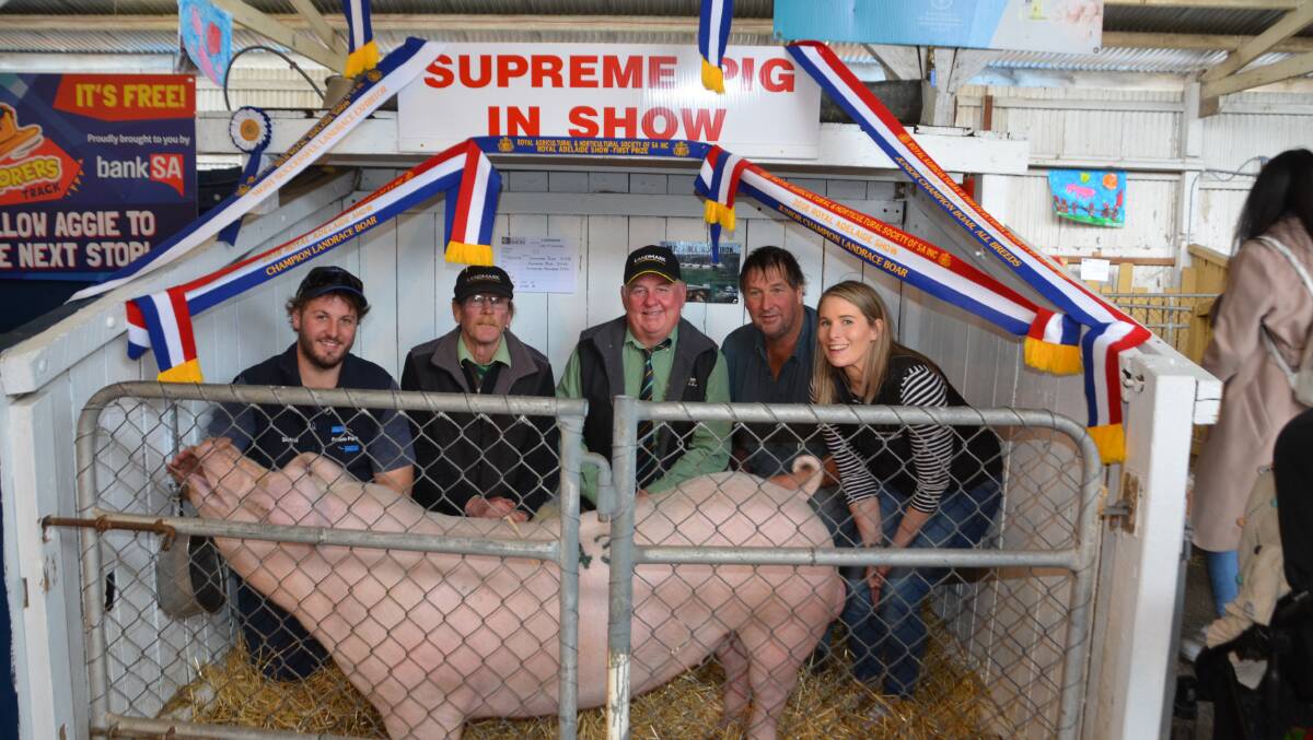 HAPPY SELLERS: Shaun Blenkiron, Keyneton, Landmark's Colin Fawcett and David Schultz, Michael Blenkiron and Amy Blenkiron, Keyneton, with one of the two $2400 boars, which was also supreme pig in show.