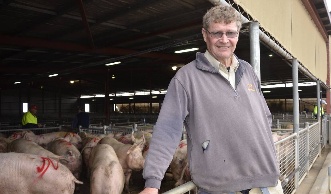 CHALLENGE CONTINUES: Elders/T&D Pig Marketers auctioneer Garry Tiss says while pig prices have risen, so has the cost of production, particularly due to tight feed supplies.