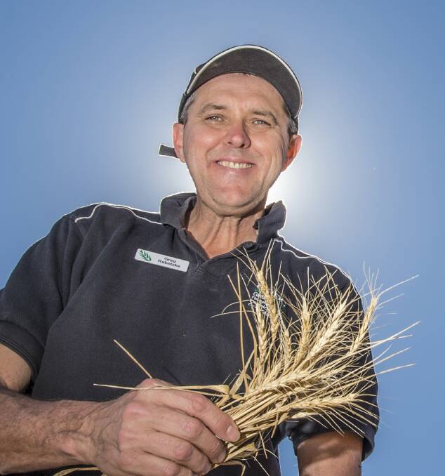 MAXIMISING RAINFALL: CSIRO wheat geneticist Greg Rebetzke says research is being done to identify genes that could help new wheat varieties make better use of rainfall.