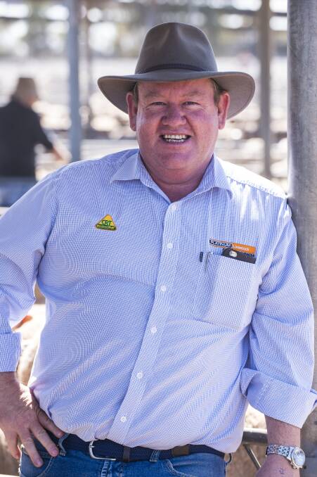 MOVING ALONG: Combined Independent Agents Association director Wayne Hall said construction of a new saleyard at Crystal Brook was progressing well.