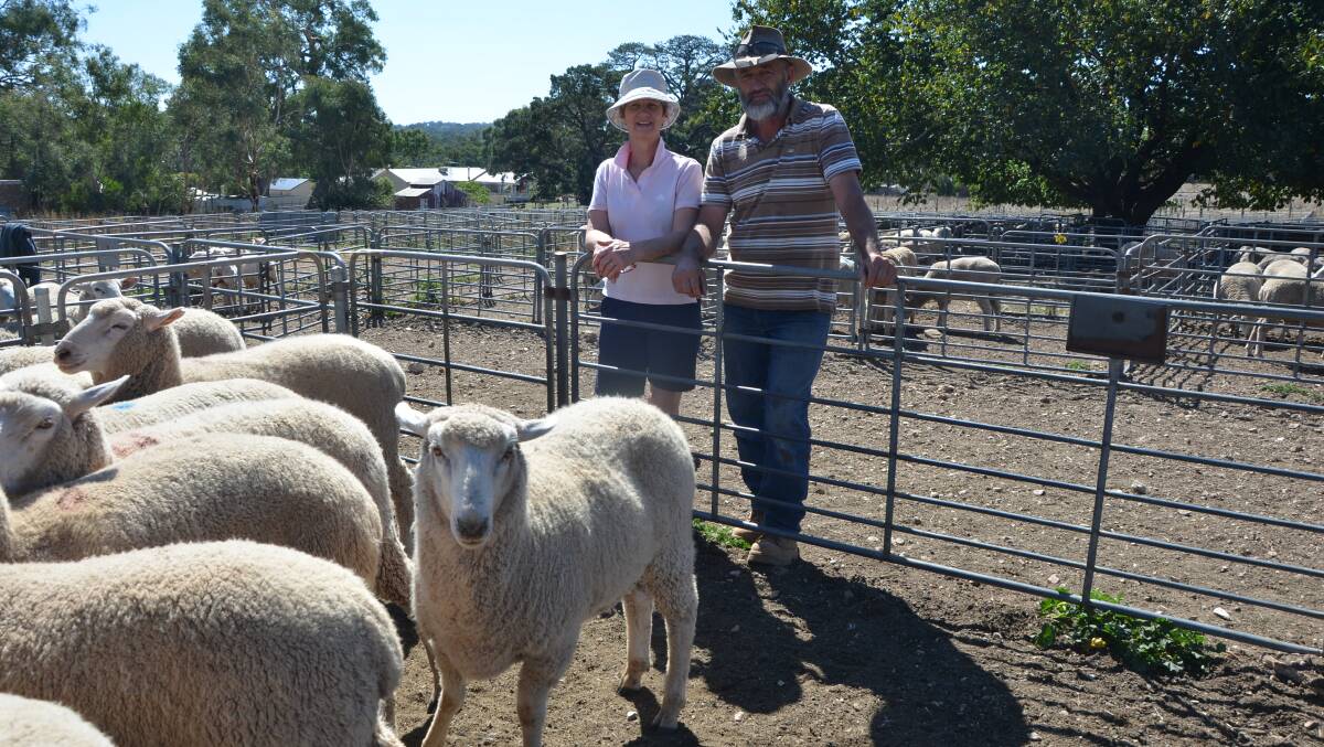 Sally Fennessy and partner Brian Linke, Angaston, topped the Mount Pleasant market with crossbred lambs at $186.