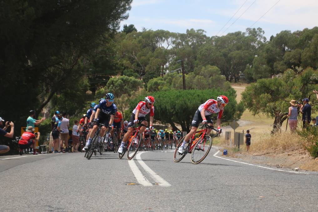 With the Tour Down Under heading out into regional areas from Thursday, drivers are urged to keep watch for cyclists. Photo: BELINDA STEVENS