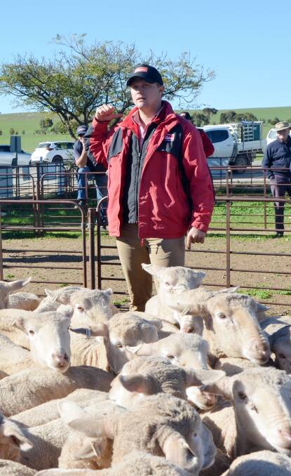MASSIVE OPPORTUNITY: Elders Jamestown livestock manager Jack Coleman said if tomorrow's sale at Jamestown was a success, AuctionsPlus could be used at the selling centre again, particularly through spring sales.
