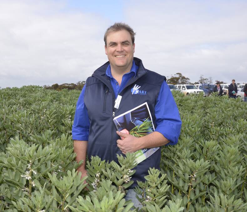 PULSE POSITIVITY: Hart Field Site Group chairman Damian Sommerville in a crop of Farah faba beans at the field day on Tuesday.