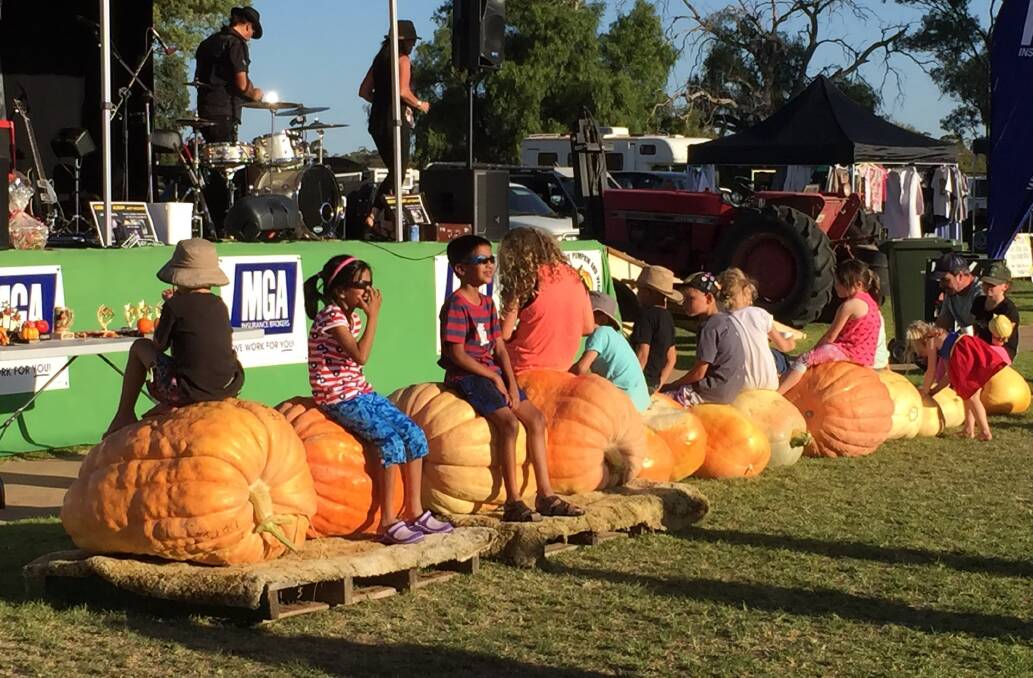 Massive pumpkins will be on display at the Cadell Harvest Festival this Easter Saturday.